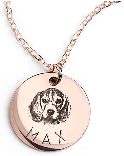 Personalized Pet Photo Disc Necklace Ladies Kitten Name Pendant Necklace Custom Animal Stainless Steel Necklace Jewelry - Nyaabs