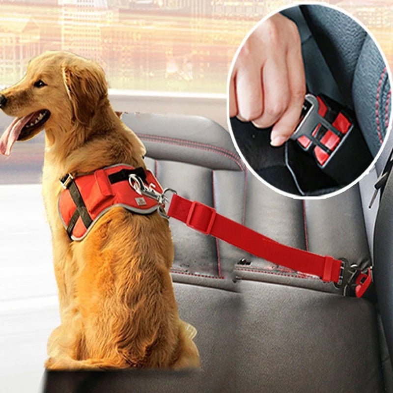 Adjustable Pet Cat Dog Car Seat Belt Pet Seat Vehicle Dog Harness Lead Clip Safety Lever Traction Dog Collars Dogs Accessoires Pets Products nyaabs.com