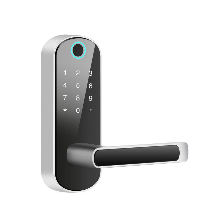 Smart Bluetooth fingerprint lock nyaabs.com