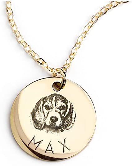 Personalized Pet Photo Disc Necklace Ladies Kitten Name Pendant Necklace Custom Animal Stainless Steel Necklace Jewelry - Nyaabs