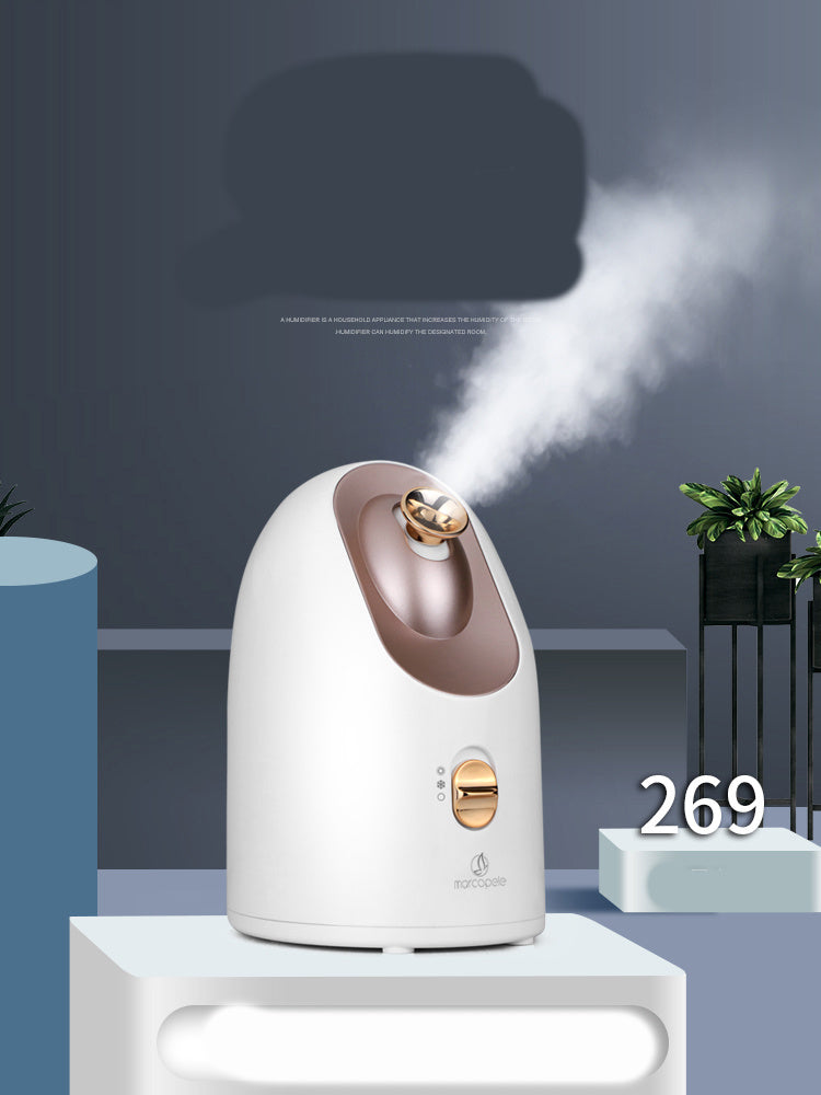 Hot and cold face steamer - Nyaabs