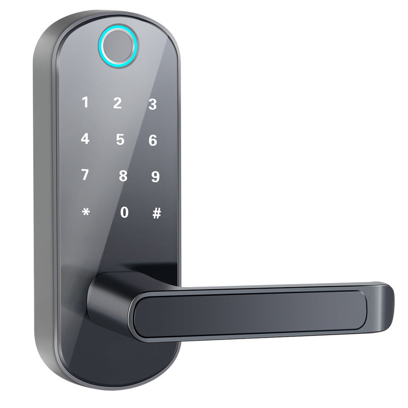 Smart Bluetooth fingerprint lock nyaabs.com