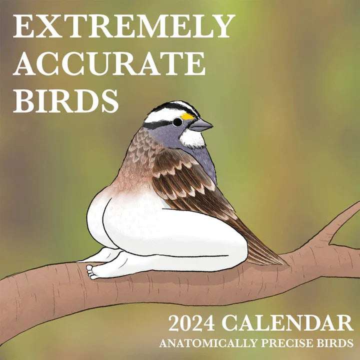 Extremely Ac2024 curate Birds Calendar Decorative Wall Monthly Calendar For Bird Lovers Room Calendars For Bedroom Living - Nyaabs