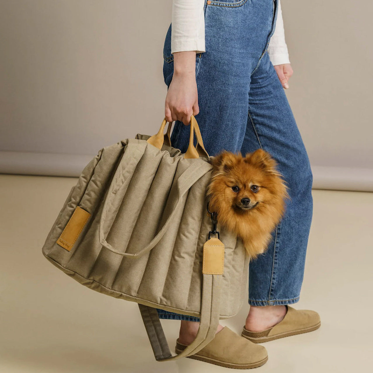 Pet Dog Cat Bag Carrier Light Waterproof Dog Out Portable Handbag Pet Accessories Fashion Dog Bag nyaabs.com