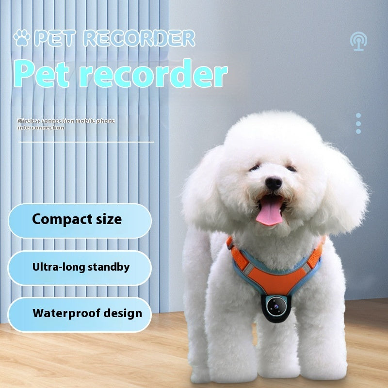 Pets Recorder Pet Tracker Collar Dogs And Cats Viewing Angle Motion Recording Camera Action Camera With Video Records Cat Collars Camera Sport Pet Products - Nyaabs