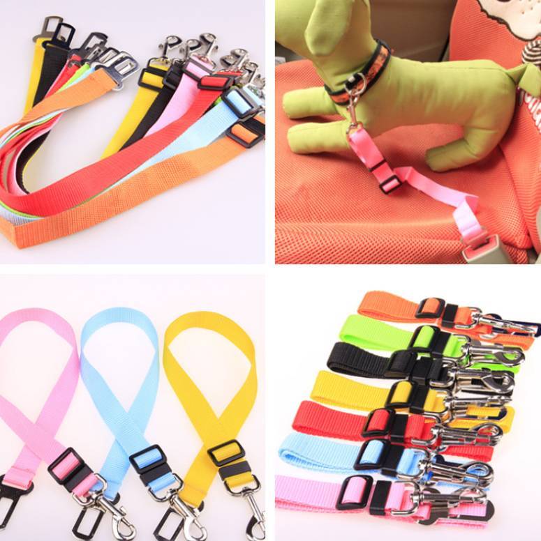 Fixed Strap Polyester Dog Strap Dog Leash Dog Leash nyaabs.com