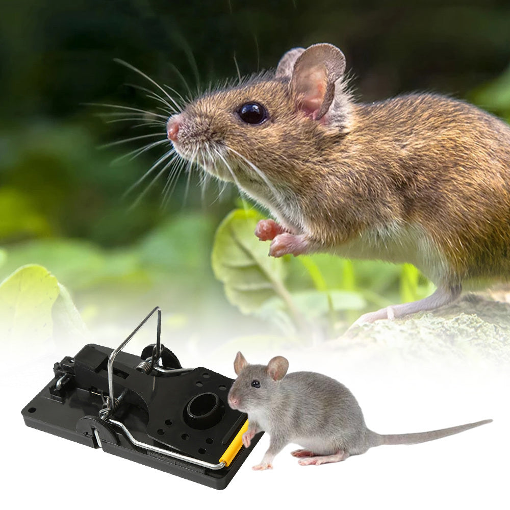 Rat Capture Rat Traps Durable Mouse Traps For Household Home&Living Pest Control Bait Snap - Nyaabs