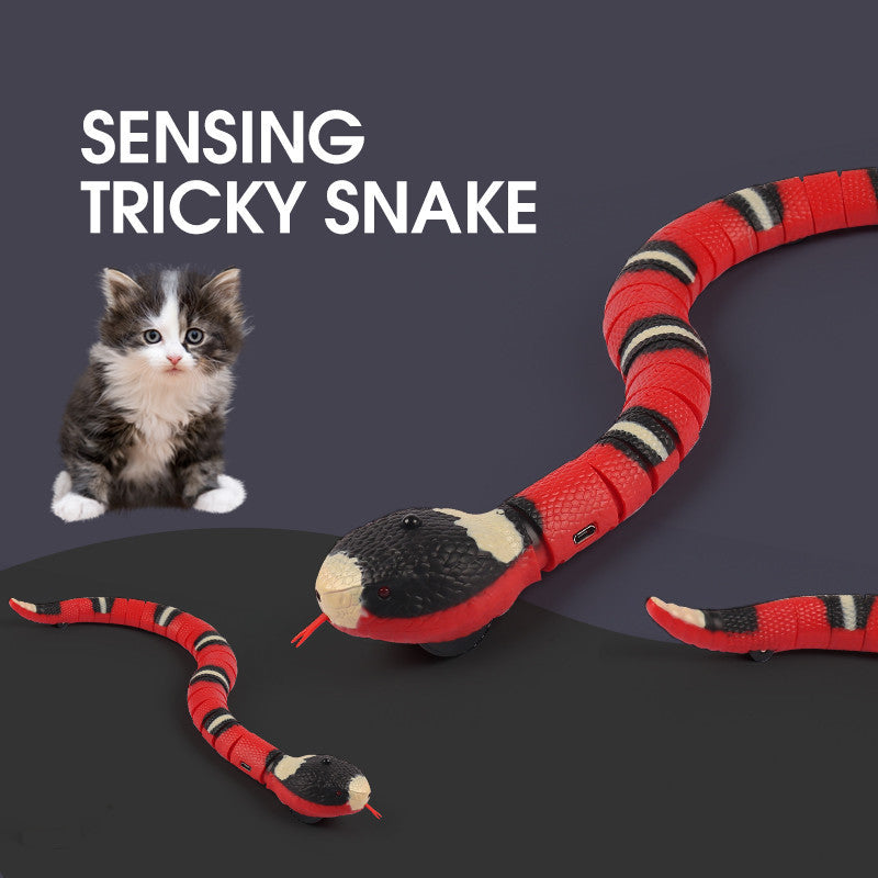 Smart Sensing Interactive Cat Toys Automatic Eletronic Snake Cat Teasering Play USB Rechargeable Kitten Toys For Cats Dogs Pet - Nyaabs