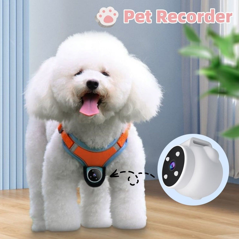 Pets Recorder Pet Tracker Collar Dogs And Cats Viewing Angle Motion Recording Camera Action Camera With Video Records Cat Collars Camera Sport Pet Products - Nyaabs